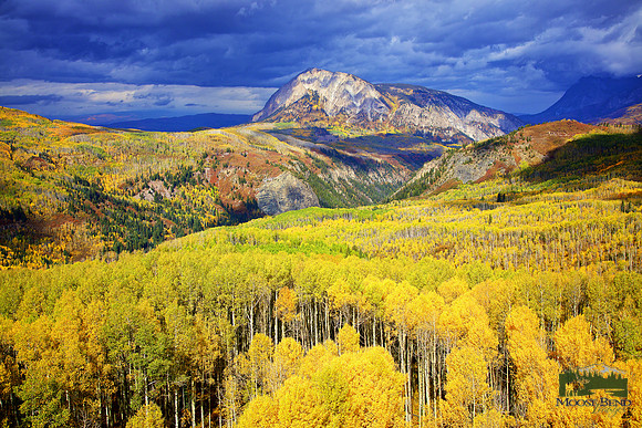 Colors of Kebler Pass