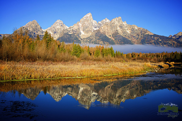 Schwabacher's Landing