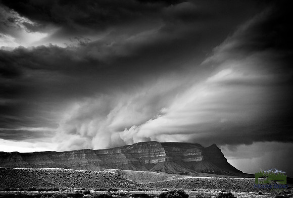 The Storm
