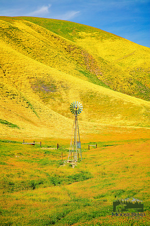 Windmill on Route 58 - Carrizo Plain National Monument
