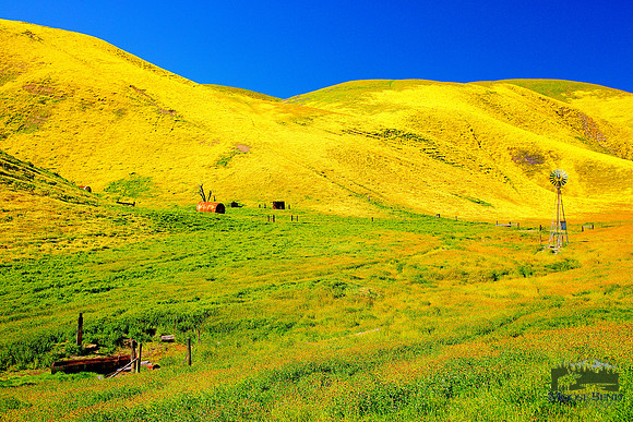 Windmill on Route 58 - Carrizo Plain National Monument