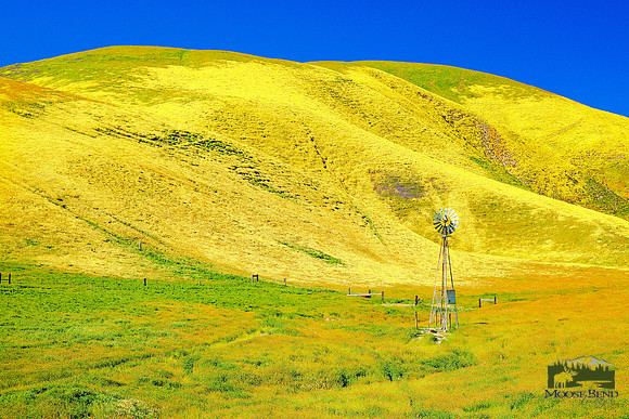 Windmill on Route 58 - Carrizo Plain National Monument