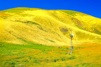 Windmill on Route 58 - Carrizo Plain National Monument