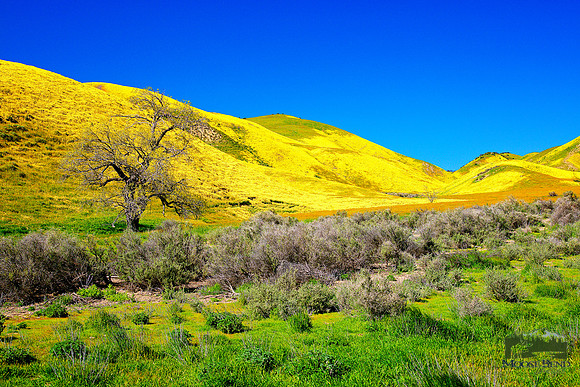 Route 58 Vistas