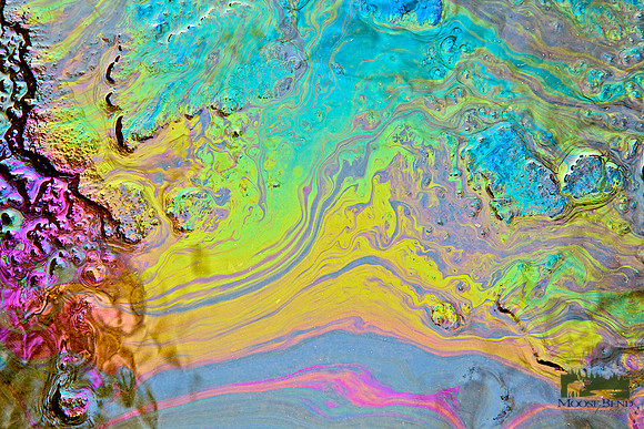 Oil & Water