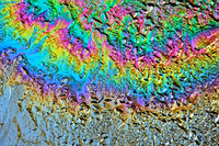 Oil & Water