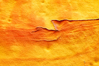 Brushstroke