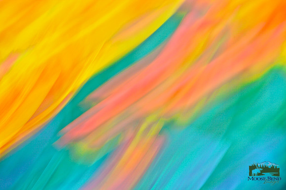 Tulips - Abstract