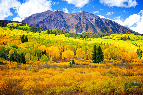 Autumn on Kebler Pass