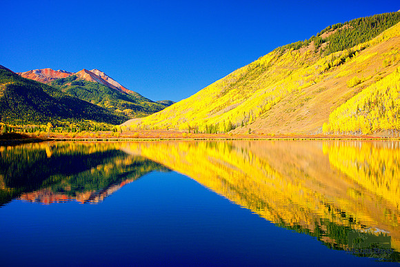 Mirror Image