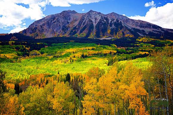 Colors Ablaze on Kebler Pass
