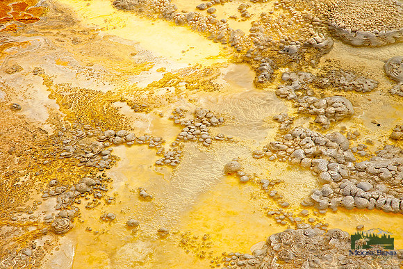 Geyser Basin Abstract III