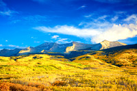 Aspens on Kebler Pass