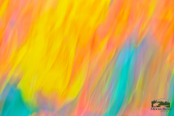 Tulips - Abstract