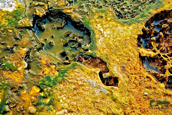 Yellowstone Abstract