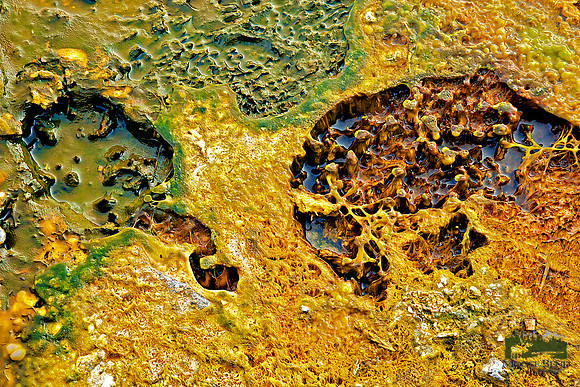 Yellowstone Abstract