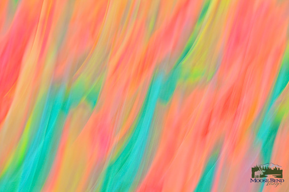 Tulipmania