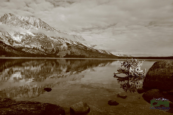 Jenny Lake Reflections