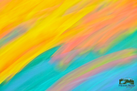 Tulips - Abstract
