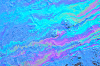 Oil & Water
