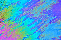 Oil & Water