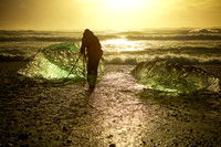 Fool on the Beach