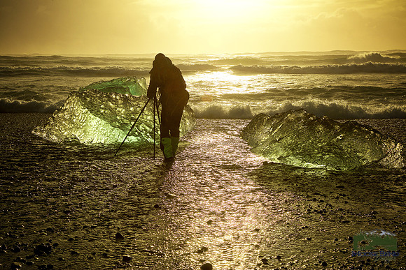 Fool on the Beach