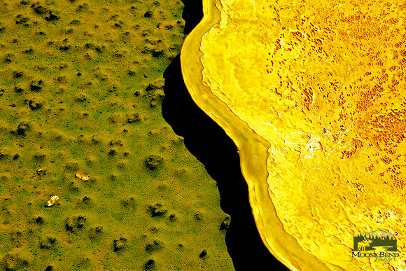 Yellow II