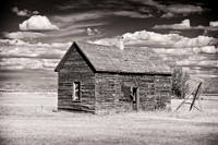 Vestiges of the Past - Bear Lake