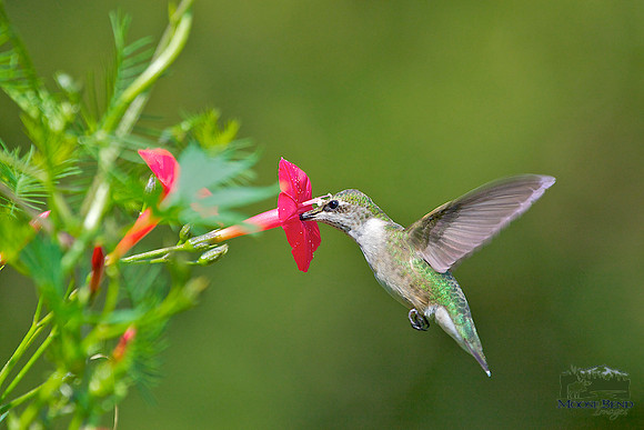 Refueling