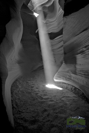 Shaft of Light