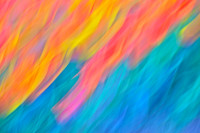 Tulips - Abstract