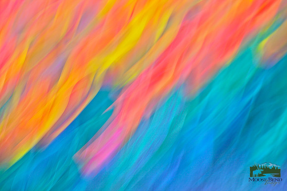 Tulips - Abstract