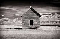 Vestiges of the Past - Bear Lake