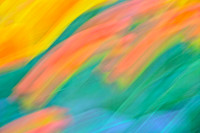 Tulips - Abstract
