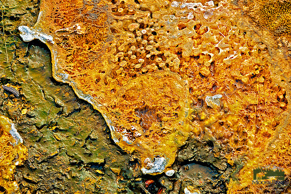 Yellowstone Abstract