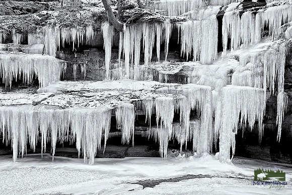 Mid-Winter's Sculpture