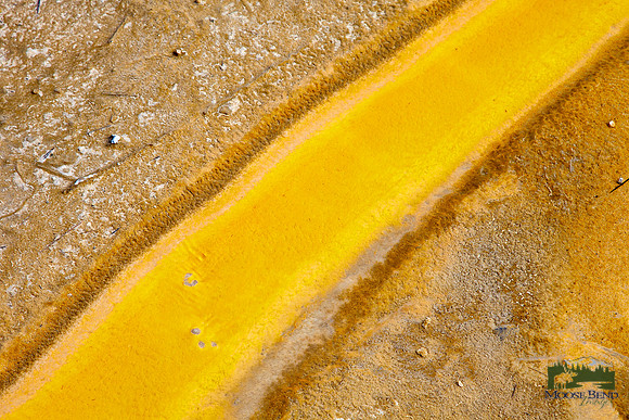 Yellow Stripe