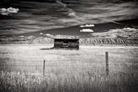 Vestiges of the Past - Bear Lake