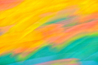 Tulips - Abstract